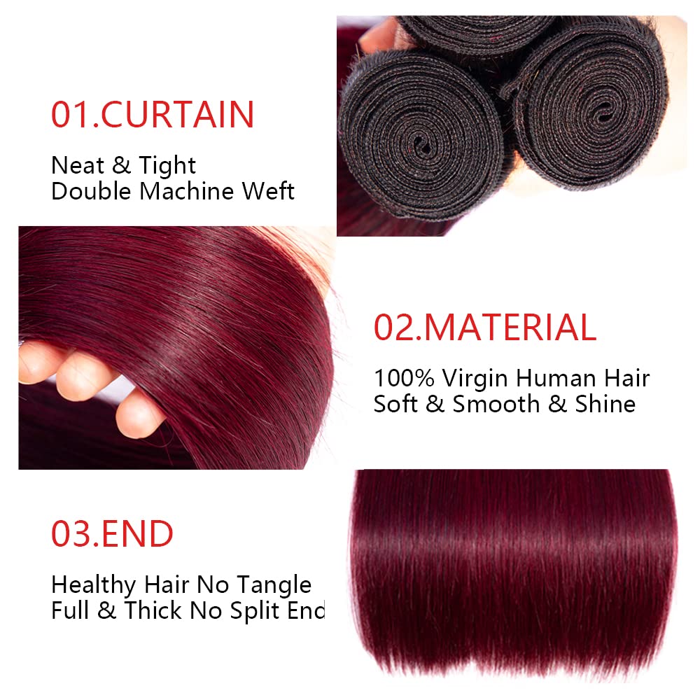 1B/99J Ombre Human Hair Bundles – Straight | Sleek, Rich Color Blend