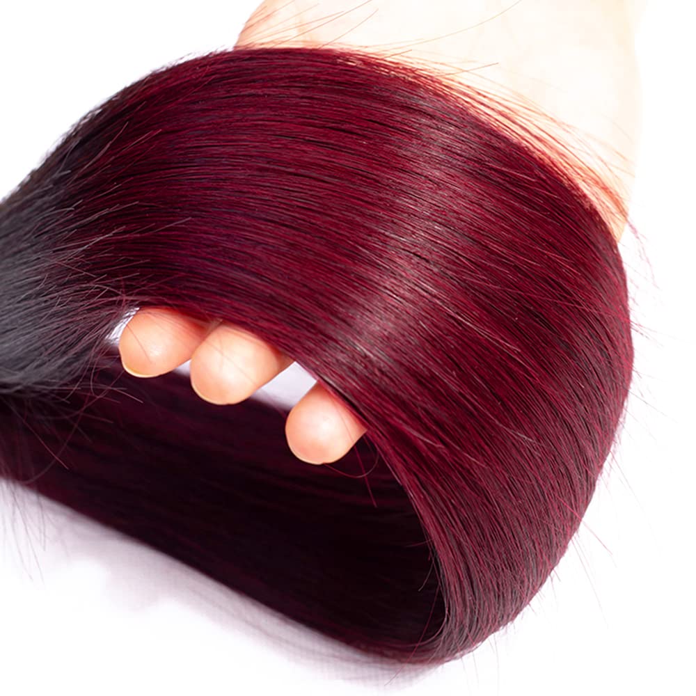 1B/99J Ombre Human Hair Bundles – Straight | Sleek, Rich Color Blend