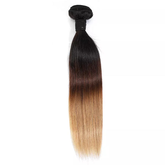 1B/4/27 Ombre Straight Bundles