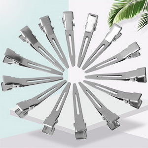 Stainless Steel Hair Control Clips - 10 Piece