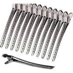 Stainless Steel Hair Control Clips - 10 Piece